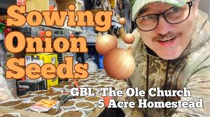 Growing onions with Garden Like a Viking success