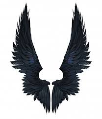 Angel Wings Images Black And White Discover Thousands Of Premium Stock Photos Availables In Jpg Format With High Quality Download Whatever Cancel Demon Wings Wings Drawing Angel Wings Drawing