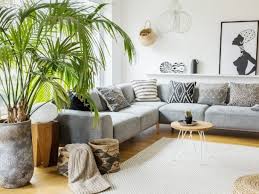 9 pequeño jardín acuático para interiores. Como Decorar La Sala Con Plantas