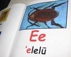 While many may assume you're talking about english, that might not always be the best assumption since there are so many different languages around the world. Hawaiian Alphabet Encyclopedia Article Citizendium