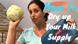 Apply cabbage leaves chilled cabbage leaves are a great. How To Dry Up Your Milk Supply Fast Without Breastfeeding Youtube