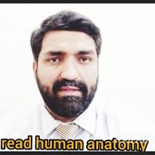 Shoaib Niazi Information Channel