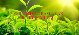 G Harfiyle Baslayan Bitki Isimleri Mmsrn Com Egitim Ve Bilgi Sitesi