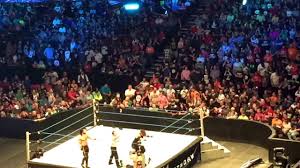 Wwe At Bridgestone Arena Amazon De Online Shop