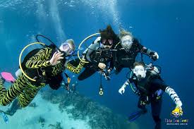 Pain Of Scuba Diving Deaths Off California Felt Across Globe