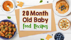 20 Month Old Baby Food Recipes