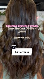 Paul Mitchell The Demi 6BV Brunette Hair Color Formula