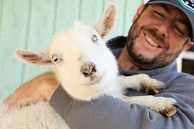 Fabled Farm Rescue & Sanctuary