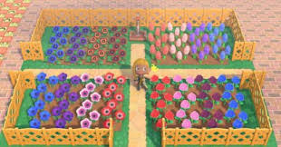 Every island in animal crossing: Animal Crossing Flower Breeding Guide How To Get Hybrid Flowers Acnh Gamewith