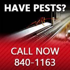 We service the dfw area. Contact Us Tri County Pest Control Tupelo Ms