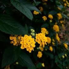 Maybe you would like to learn more about one of these? Coiffeur Sans Rdv Saint Herblain Rdv En Ligne Beauty Planet