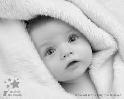 Winning image for Barrett & Coe Leighton Buzzard and baby Albie