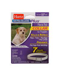 Hartz Ultraguard Plus Flea Amp Tick Collar For Puppies 7 Months Protection Walmart Com Walmart Com