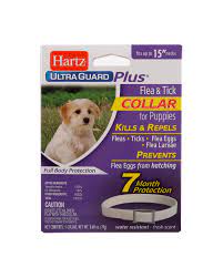 Flea collars contain an active ingredient known as pyrethrin which is very effective in killing fleas but is toxic to cats. Hartz Ultraguard Plus Flea Amp Tick Collar For Puppies 7 Months Protection Walmart Com Walmart Com