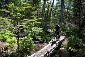 You should hold behind the saddle and let them pedal after you're pushing a small look how bike acts differently. Mountain Bike Tour Chile Patagonia In South America H I Adventures