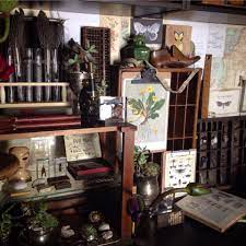 The Naturalist Melbourne Naturalist Decor Nature Room Nature Decor