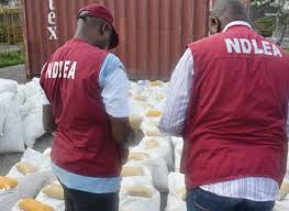 Ndlea apapa marine unit intercepted 704kg of cannabis sativa, two (2) cars, one (1) truck and six (6) male suspects from ghanapic.twitter.com/jw0p0o1lh7. Daily Trust Recruitment Ndlea Releases List Of Successful Candidates
