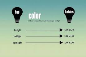 Lumens Brightness Scale For Projector Lumen Led Municipal