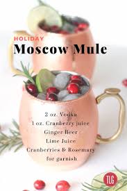 Holiday Moscow Mule Christmas Drinks Alcoholic Drinks Holiday Drinks