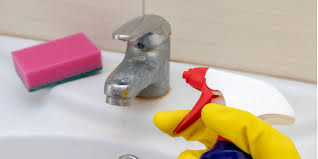 plumbing cleaning to do while stuck at