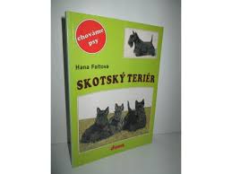Image result for skotský teriér