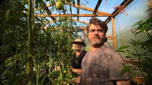 'This Is a Gardening Show' review: Zach Galifianakis' charming food series