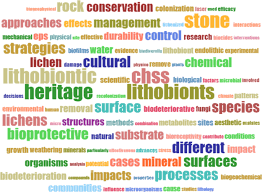 The stone fry pan least try to makes your cooking more efficient with less chance of odor full taste. A Review Of The Nature Role And Control Of Lithobionts On Stone Cultural Heritage Weighing Up And Managing Biodeterioration And Bioprotection Springerlink