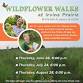 Irvine Prairie Wildflower Walks