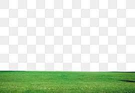 Grass Png Images Vector And Psd Files Free Download On Pngtree In 2021 Green Grass Background Green Gradient Background Grass Background