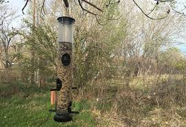 Read on to find the best bird feeder pole in the market today. The Best Bird Feeders Reviews By Wirecutter