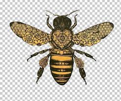 Honey Bee Drawing Bumblebee Png Clipart Art Arthropod Art Museum Bee Beehive Free Png Download Are you searching for realistic bee png images or vector? honey bee drawing bumblebee png