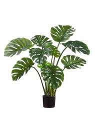 13 Mind Blowing Big Plants Indoor Ideas In 2020 Benefits Of Indoor Plants Plants Artificial Plants