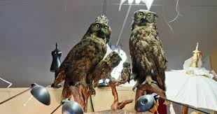 Top Vancouver Antique Stores 3 Baker S Dozen Antiques Antique Stores Antiques Vancouver