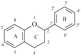 Image result for Ptycholobium contortum