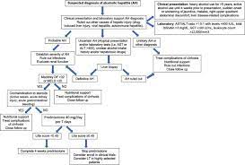 Alcohol Related Liver Disease Clinical Practice Guidelines By The Latin American Association For The Study Of The Liver Aleh Sciencedirect