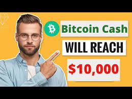 Smartereum thinks that bitcoin cash is struggling to reach the top. Bitcoin Cash Bch Price Prediction Why It Will Reach 10 000 Should I Buy Bitcoin Cash Bch Youtube