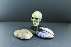 How do you harden modeling clay without baking? Top Tips For Beginner Clay Sculptors Cg Cookie