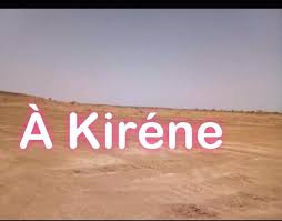 4000 Parcelles De 150 M 4000 Parcelles 150m2 Papier Titre Foncier Autorisation De Lotir Diass Prix 2millions Kebetu Dakar Seneg Annonce Titre Papier
