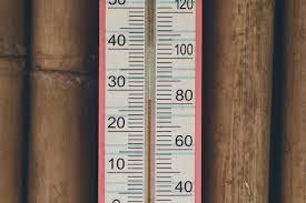 Nahaufnahme Des Haushaltsalkoholthermometers Der Temperatur In Grad Celsius Und Grad Fahrenheit Zeigt Premium Foto