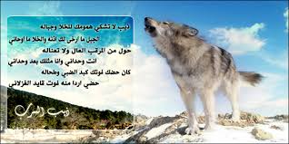 صور خلفية زرقاء,500301627 id خلفيات بحث,صورة jpg,3.3 mb حجم الصورة ØµÙˆØ± Ø°ÙŠØ¨ Ù…ÙƒØªÙˆØ¨ Ø¹Ù„ÙŠÙ‡Ø§ ØµÙˆØ± Ø°Ø¦Ø§Ø¨ Ø¬Ø¯ÙŠØ¯Ø© ØµØ¨Ø§Ø­ÙŠØ§Øª