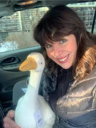 Today, I had a nice after-work-ride