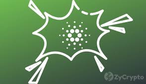 Wise is an innovative cryptocurrency designed to be a highly secure store of value that can be easily staked to earn trustless interest. Why Cardano Ada Was Rated As Excellent In Technology Wise By Weiss Crypto Ratings Zycrypto