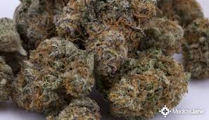 Афпак (afghanistan and pakistan as a single theater of operations lyufi). Afpak Marijuana Strain Review