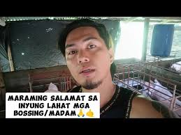 Ano ba ang ideal weight o bigat ng baboy kung nasa pre starter period