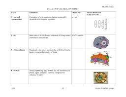 Bcps Biology Reteaching Guide Cells Vocab Chart