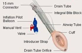 Image result for Extraglottic Device