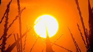 images of scorching heat എന്നതിനുള്ള ചിത്രം