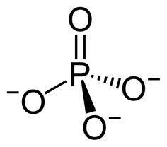 Phosphate Group Definition And Functions Biology Dictionary Skeletal Formula Biology Chemical Formula