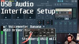 100% safe and virus free. Voicemeeter Audio Mixer For Google Voice Now With Asio Support By Qrqcw