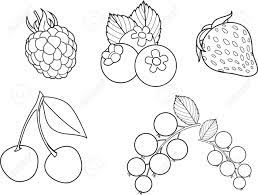 These alphabet coloring sheets will help little ones identify uppercase and lowercase versions of each letter. Coloring Page Set Of Vector Berries Including Vector Raspberry Blueberry Fresh Strawberry Juicy Cherry Gooseberry Coloring Book Black And White Royalty Free Cliparts Vectors And Stock Illustration Image 141375594